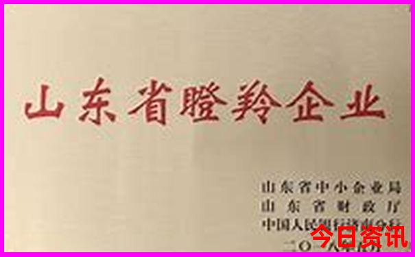 浙江旅游自驾游攻略